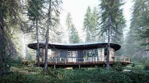 جنگل ها زیر تیغ تقاضای مسکن